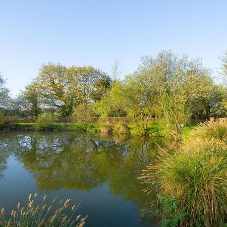 Our Goldfinch 1- Sleeps 2 Persons- Private Hot Tub-Pet Friendly-Tranquil Holiday Away From It All Yet Not Far From St Austell- The Holiday Home Has One Bedroom, Living And Dining Area, Equipped Kitchen-Decking-Outdoor Furniture-Fishing Lakes And More Grampound Exterior photo